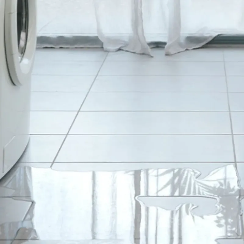 Appliance Leak Cleanup in Diamond Springs, CA