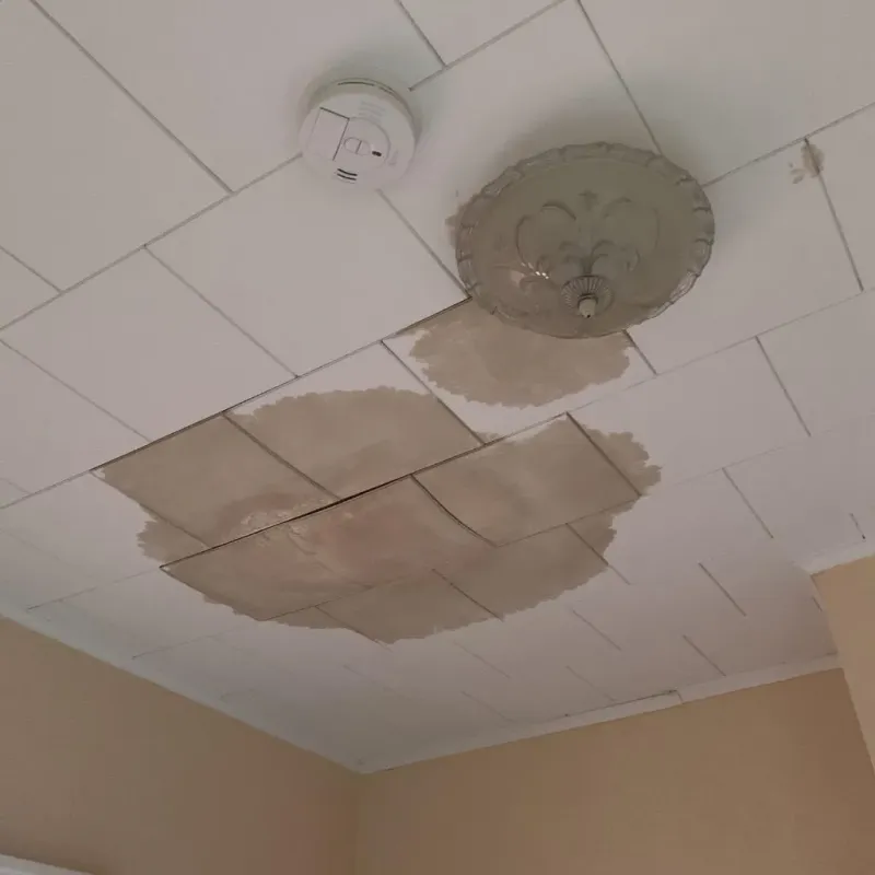Ceiling Water Damage Repair in Diamond Springs, CA